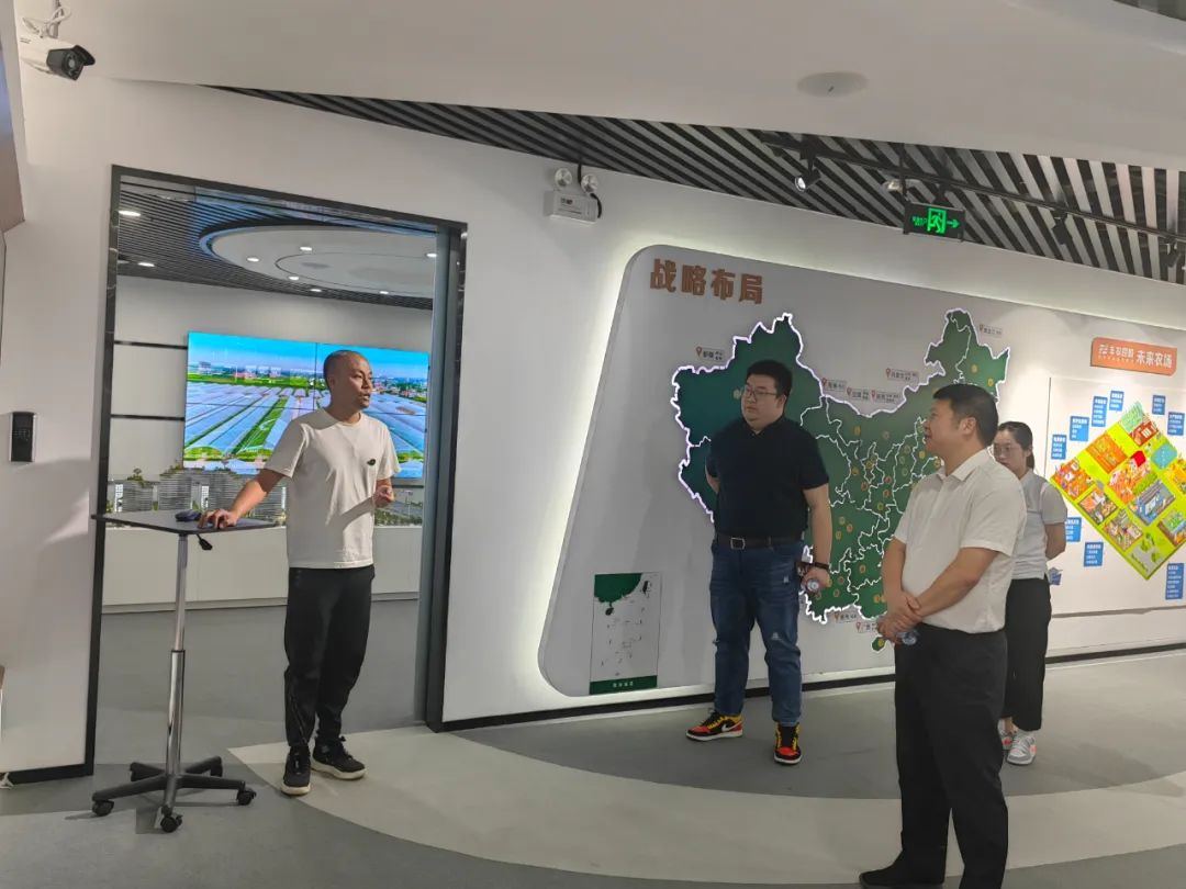 球速体育备用网址