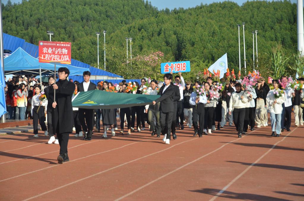 球速体育赛事资讯平台