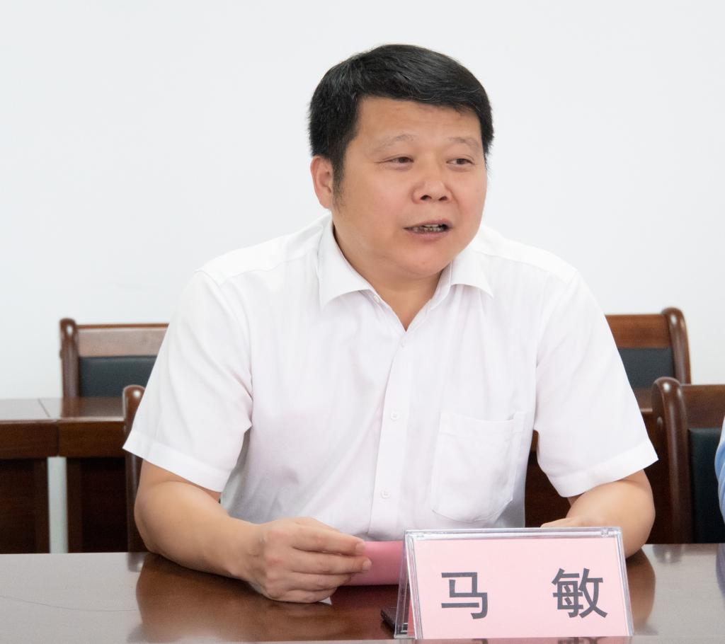 球速体育直播