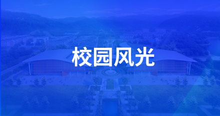 球速体育安全通道图片